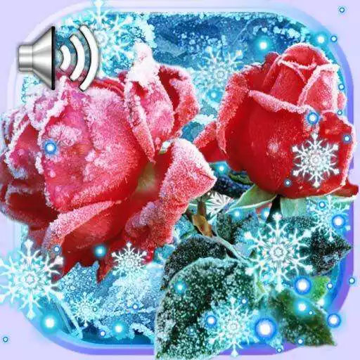 Free play online Roses Snow Winter Live wallpaper APK