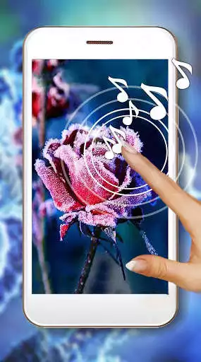 Play Roses Snow Winter Live wallpaper
