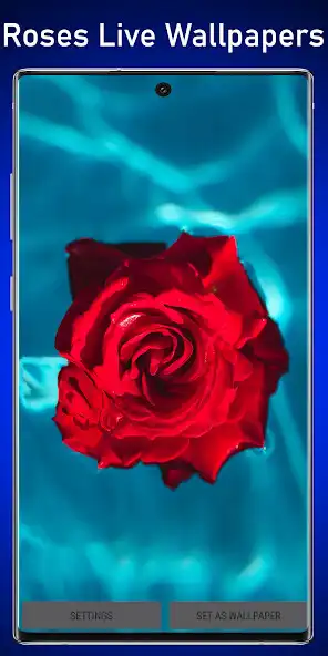 Play Roses Water Live Wallpaper  and enjoy Roses Water Live Wallpaper with UptoPlay