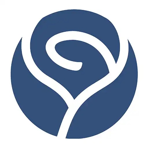 Play Rose VPN APK Play Rose VPN APK