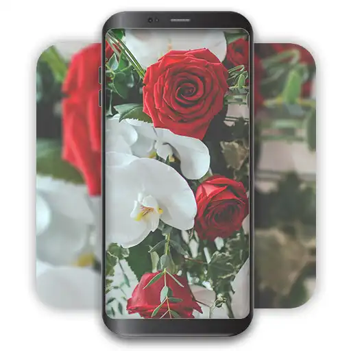Play Rose Wallpaper - 3D  4K APK