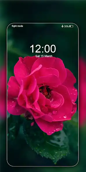 Play Rose Wallpaper HD Flower Image  and enjoy Rose Wallpaper HD Flower Image with UptoPlay