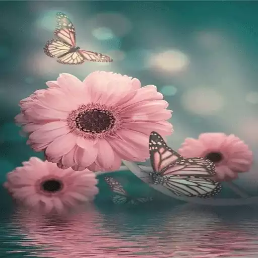 Play Rose Wallpaper APK Play Rose Wallpaper APK