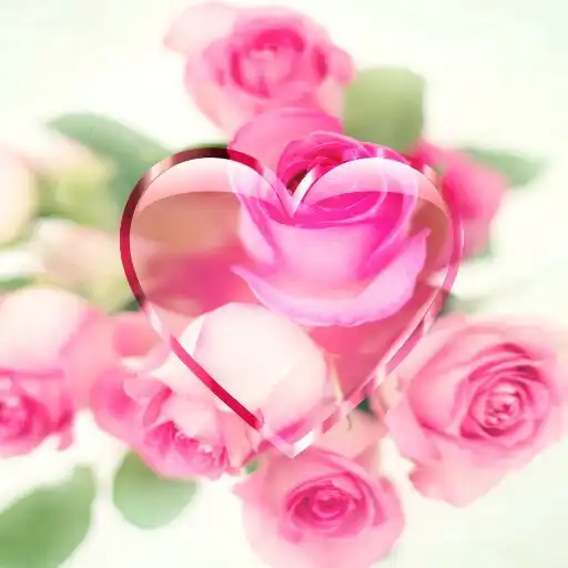 Play Rose Wallpaper Roses Flower HD APK