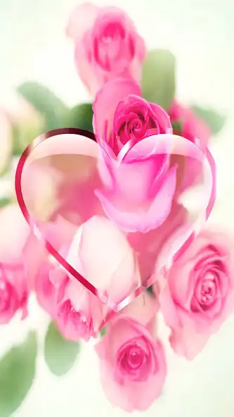 Play Rose Wallpaper Roses Flower HD  and enjoy Rose Wallpaper Roses Flower HD with UptoPlay