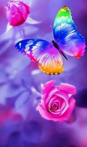 Play Rose Wallpaper  and enjoy Rose Wallpaper with UptoPlay