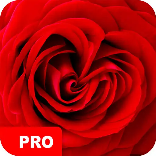 Play Rose Wallpapers PRO APK