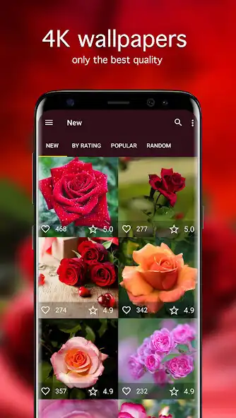Play Rose Wallpapers PRO  and enjoy Rose Wallpapers PRO with UptoPlay