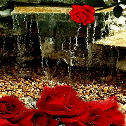 Play Rose Waterfall Live Wallpaper APK