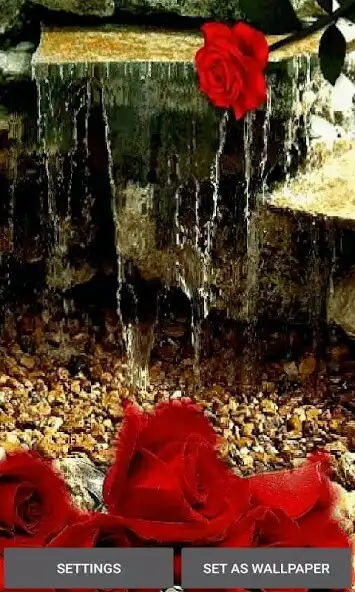 Play Rose Waterfall Live Wallpaper  and enjoy Rose Waterfall Live Wallpaper with UptoPlay
