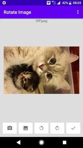 Play Rotate image as an online game Rotate image with UptoPlay