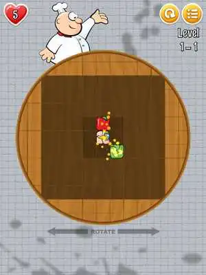Play Roto Birds