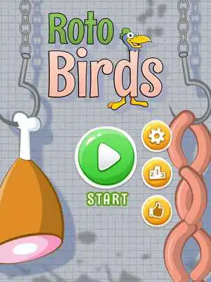 Play Roto Birds
