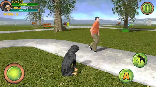 Play Rottweiler Dog Life Simulator  and enjoy Rottweiler Dog Life Simulator with UptoPlay