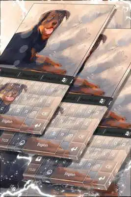 Play Rottweiler Keyboard