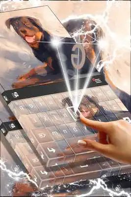 Play Rottweiler Keyboard
