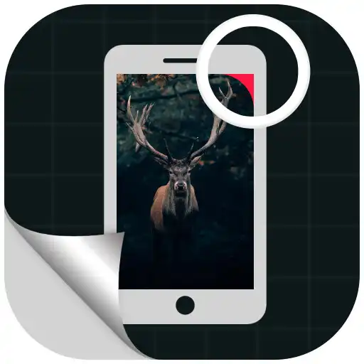 Play Round Corner Screen Hide Notch APK