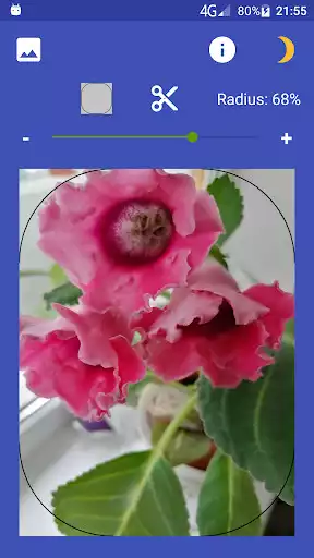 Play Rounding picture corners  and enjoy Rounding picture corners with UptoPlay