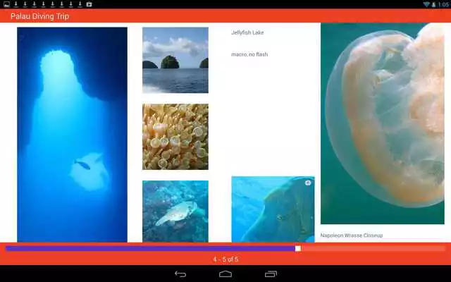 Play Roxio MediaBook Reader