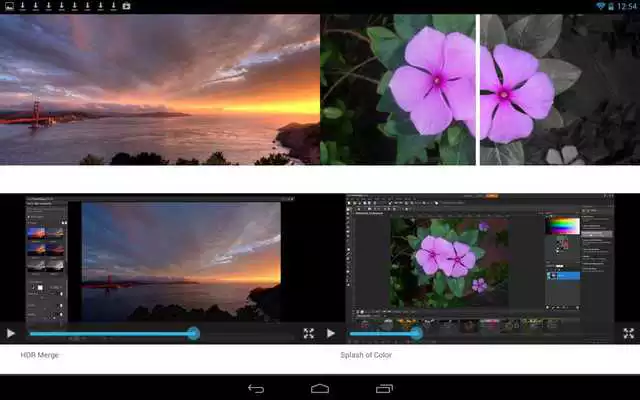 Play Roxio MediaBook Reader