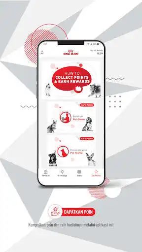Play Royal Canin Club Indonesia  and enjoy Royal Canin Club Indonesia with UptoPlay
