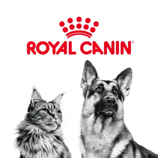 Play Royal Canin Club PH APK Play Royal Canin Club PH APK