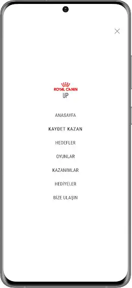 Play Royal Canin Up as an online game Royal Canin Up with UptoPlay