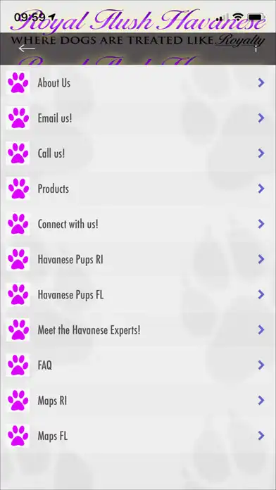 Play Royal Flush Havanese  and enjoy Royal Flush Havanese with UptoPlay