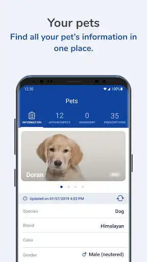 Play Royal Oak Pet Clinic  and enjoy Royal Oak Pet Clinic with UptoPlay