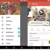 Free play online Royal Queen APK
