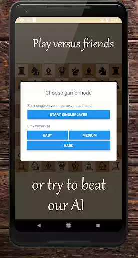 Play RSG Chess