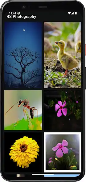 Play RS  Photography  Wallpaper  and enjoy RS  Photography  Wallpaper with UptoPlay
