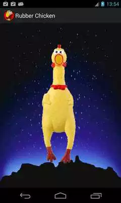Play Rubber Chicken