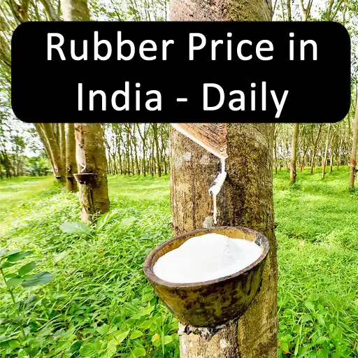 Play Rubber Price in India - Daily APK