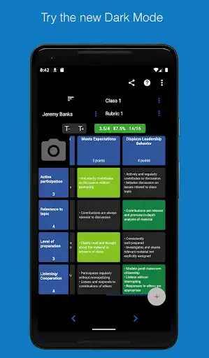 Play Rubric Scorer