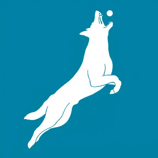 Play Ruff Swag APK Play Ruff Swag APK