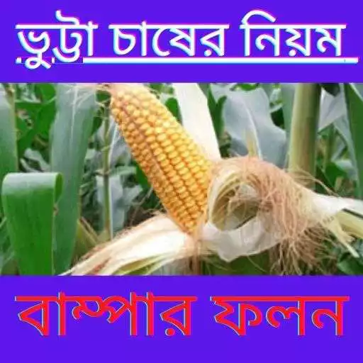 Play ভুট্টা চাষের নিয়ম - Rules for maize cultivation APK Play ভুট্টা চাষের নিয়ম - Rules for maize cultivation APK
