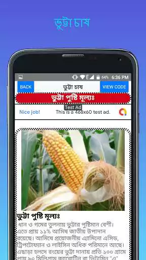 Play ভুট্টা চাষের নিয়ম - Rules for maize cultivation as an online game ভুট্টা চাষের নিয়ম - Rules for maize cultivation with UptoPlay