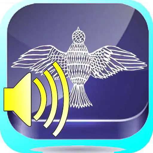 Play Rumantsch Buna Nouva APK Play Rumantsch Buna Nouva APK