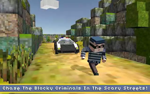 Play RunCam