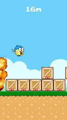 Play Run Chicken Run - Bay Day Play Run Chicken Run - Bay Day