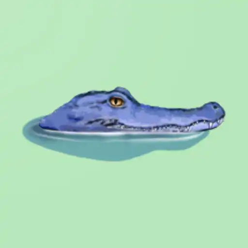 Play Run Crocodile(take pot luck) APK Play Run Crocodile(take pot luck) APK