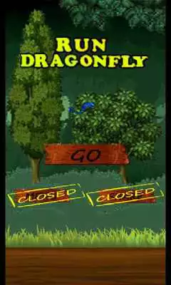 Play Run Dragonfly! Play Run Dragonfly!