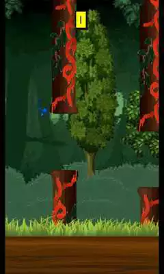 Play Run Dragonfly! Play Run Dragonfly!