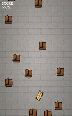 Play Run Kitty Run!