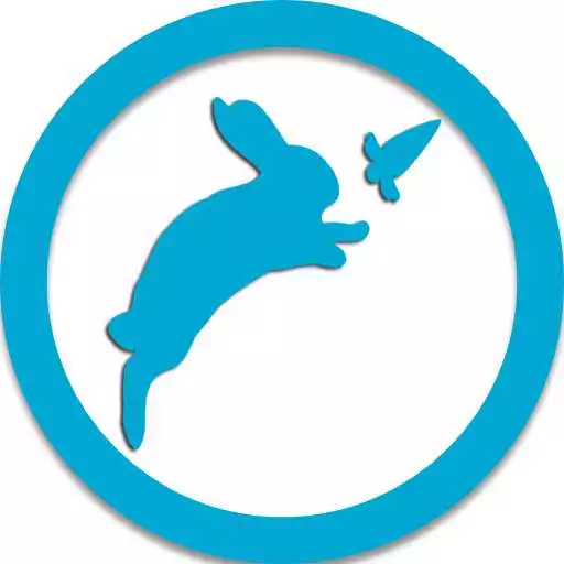 Free play online Runner Rabbit 2D APK