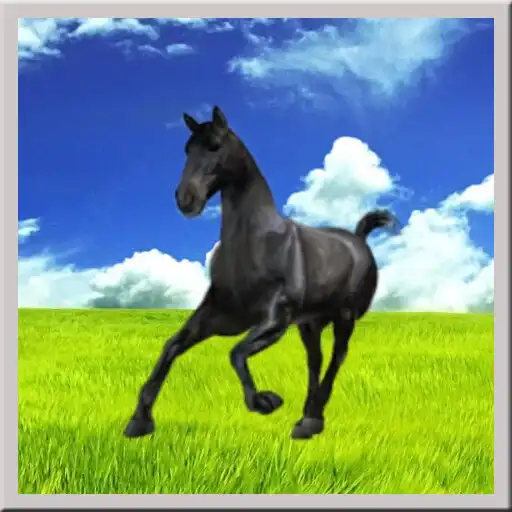 Play Running Black Horse Live Wallp APK
