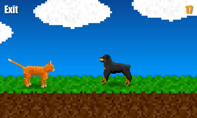 Play Running Cat Free