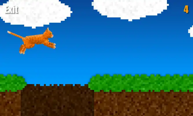 Play Running Cat Free