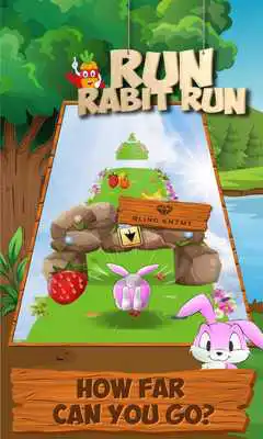 Play Run Rabbit Run